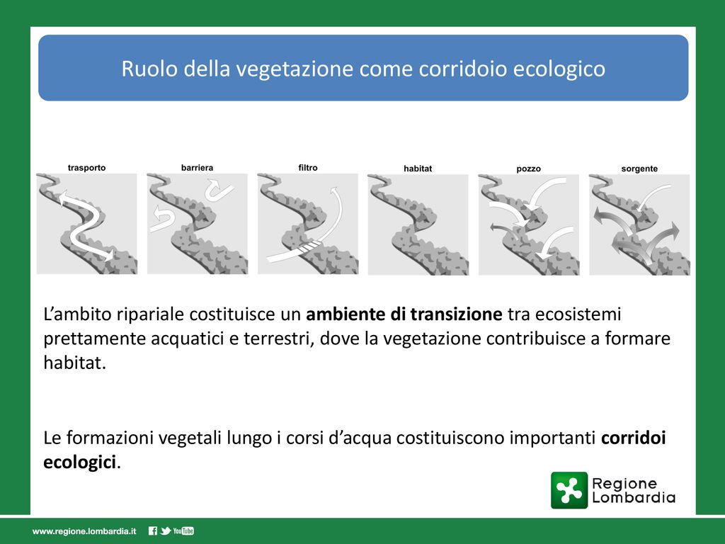 L R N Del Marzo Revisione Della Normativa Regionale In